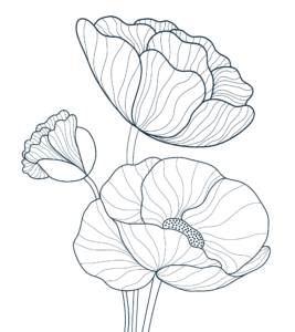 Cropped Floral Graphic